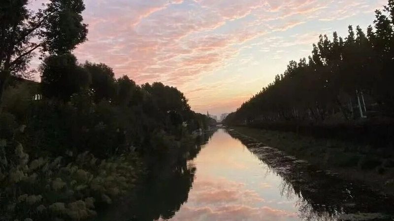 公司注销后，未分配利润转增资本如何处理？**